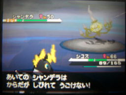 ポケットモンスターブラック縛りプレイ（四天王戦）_a0120525_0342720.jpg