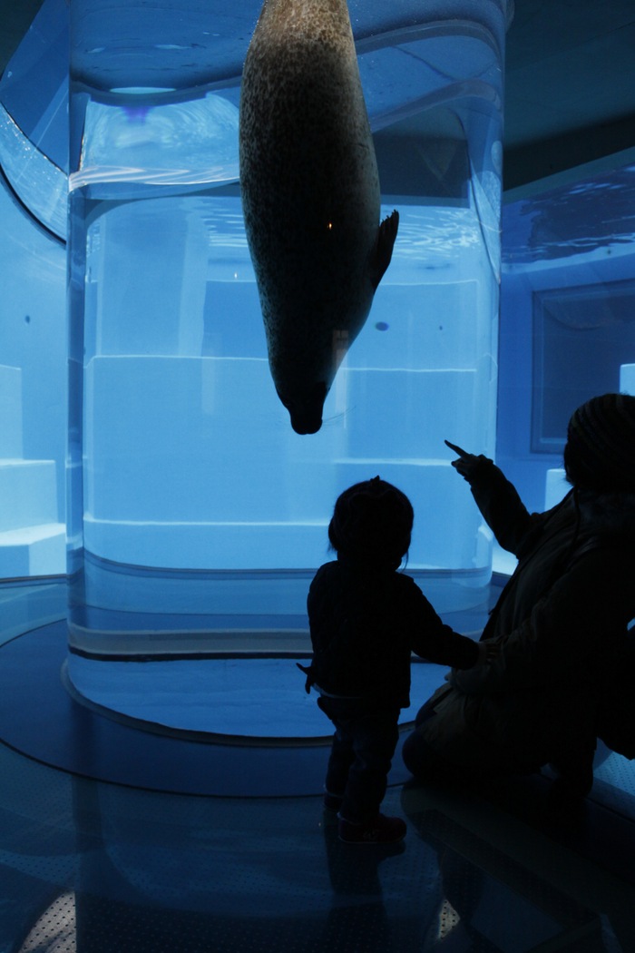 d0200926_8505810.jpg
