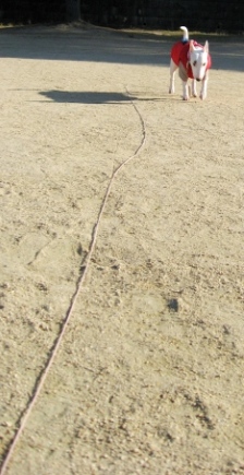 c0192330_20411966.jpg