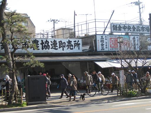 鎌倉八幡宮へ初詣_c0217931_1445213.jpg