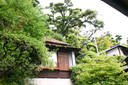 d0184535_27783.jpg