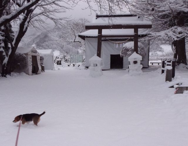 今年1年の無病息災を願う_c0190940_8212773.jpg