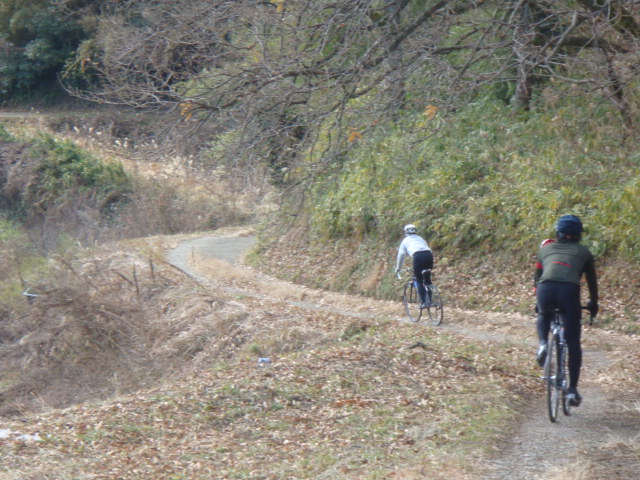 c0118948_1747173.jpg