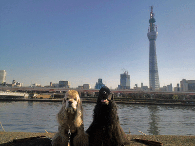 f0203249_2222895.gif
