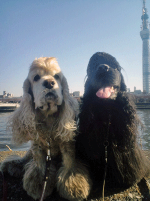 f0203249_22242465.gif