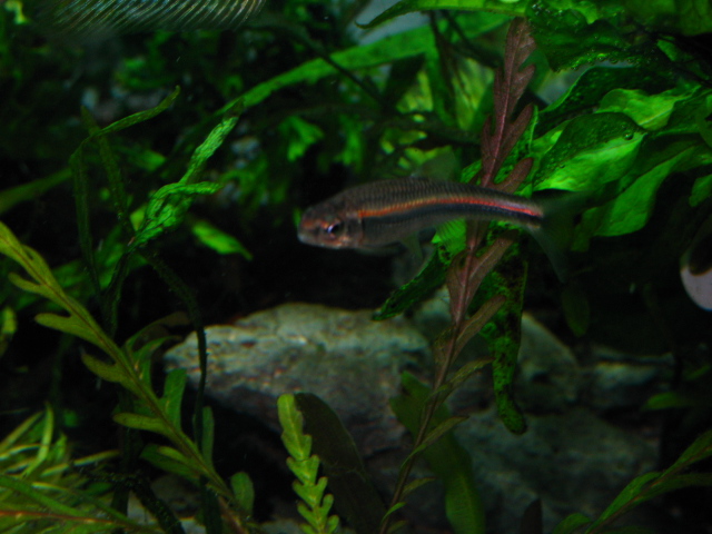 f0198950_22135573.jpg