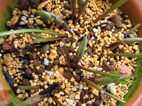 c0147952_011059.jpg