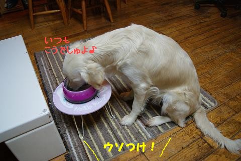 c0214455_32721.jpg