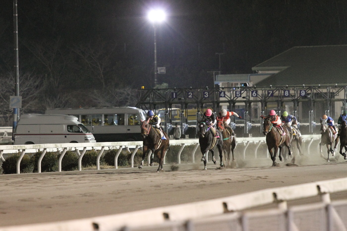 2011年1月8日（土） 高知競馬 11R 一発逆転 ファイナルレース C3-10 記者選抜_a0077663_1623575.jpg