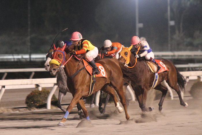 2011年1月9日（日） 高知競馬 10R ベラトリックス特別 牝馬_a0077663_8112485.jpg