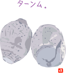田芋 お茶しましょ 田芋 お茶しましょ