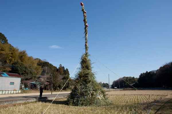 2011/01/10　黒川ゾロ目散歩_b0171364_8535117.jpg