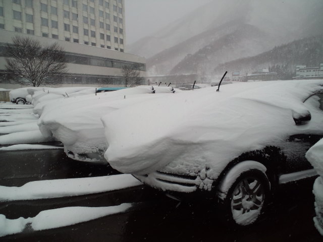 今日の かぐらスキー場_c0151965_23455712.jpg