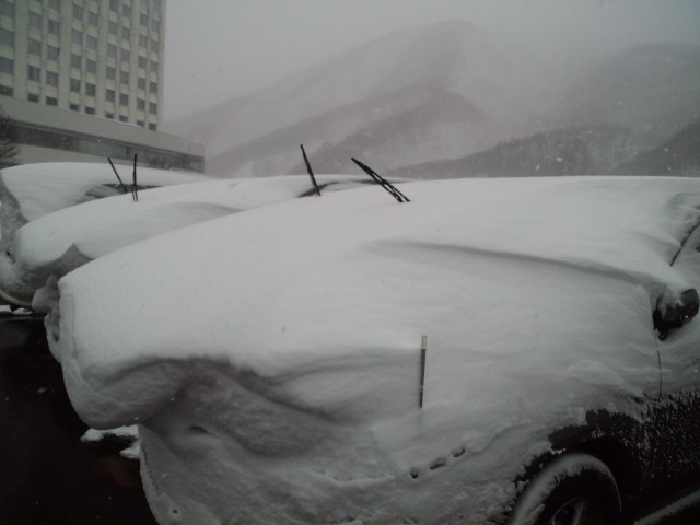 大雪で…_c0151965_8434328.jpg