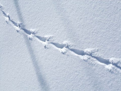 e0045768_22333058.jpg
