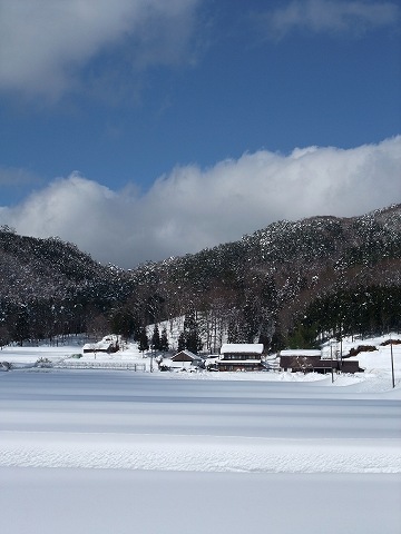 e0045768_22341691.jpg