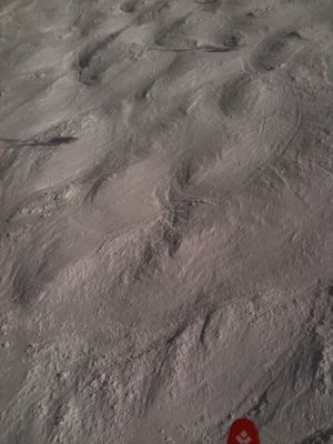 f0233068_2215616.jpg