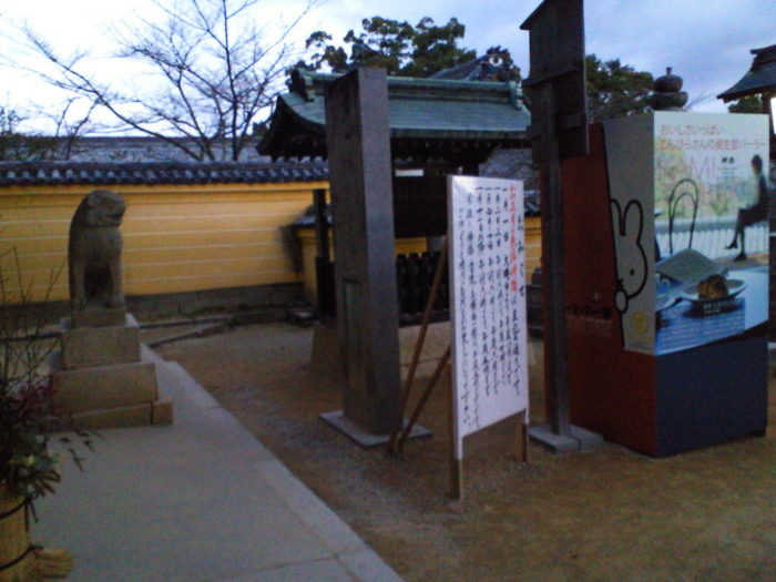 c0001670_2028572.jpg