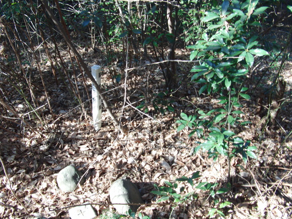 c0206177_03107.jpg