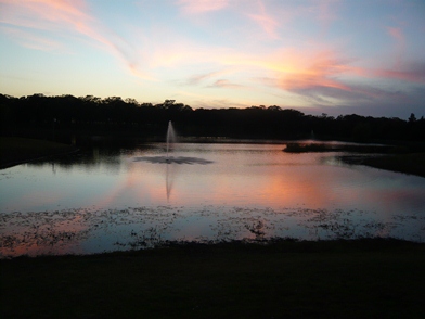 f0232083_651481.jpg