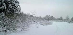 b0090284_10464143.jpg