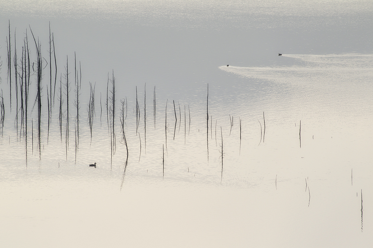 静かな冬の湖畔_a0141586_1856250.jpg