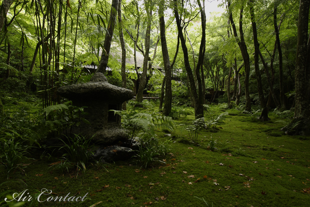 渡月橋と祇王寺_c0159490_19425085.jpg