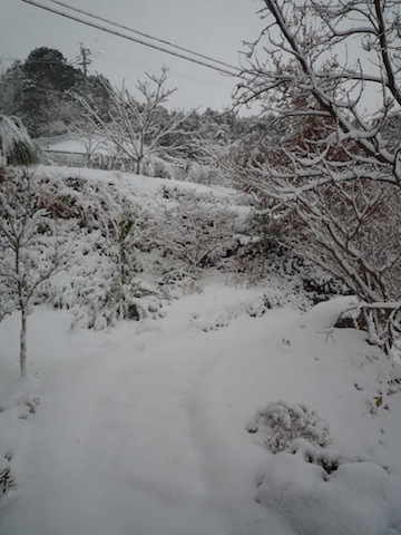 f0007990_20164183.jpg