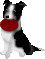 b0101991_1423111.gif