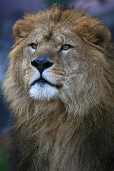 雪の動物園_b0016600_06448.jpg