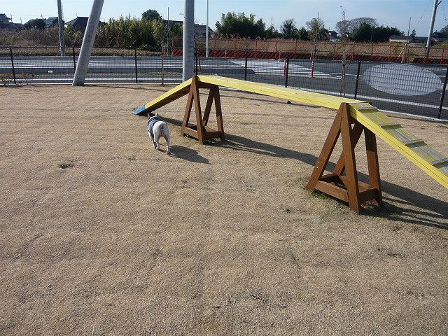 c0222400_1737484.jpg