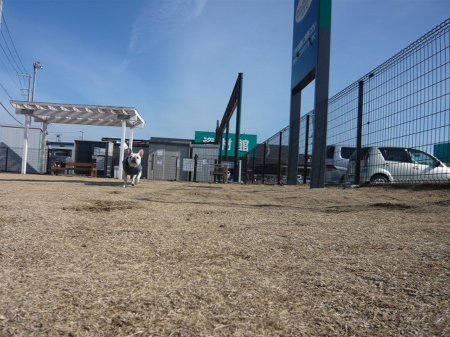 c0222400_17403092.jpg