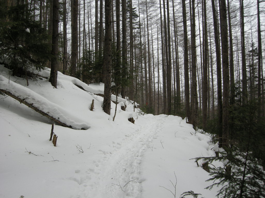 a0158802_036266.jpg