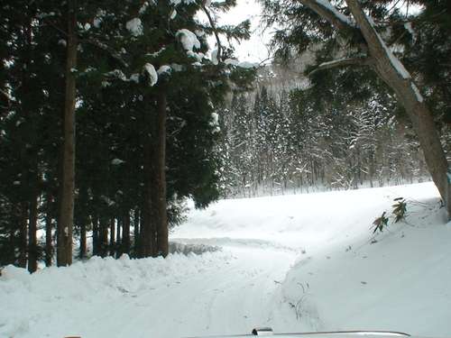 d0087503_14222048.jpg