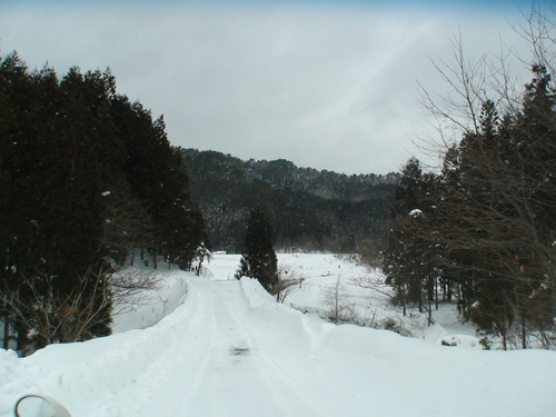 d0087503_1422498.jpg