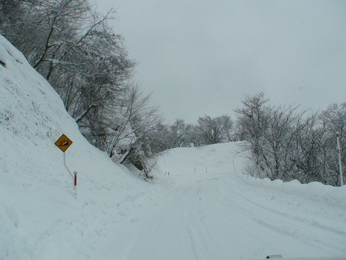 d0087503_1426498.jpg