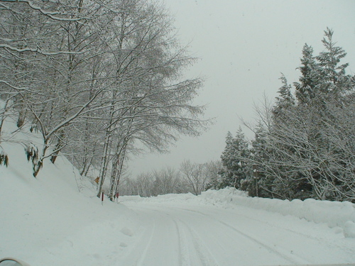 d0087503_1427685.jpg