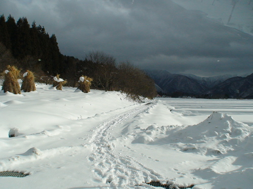 d0087503_14293951.jpg