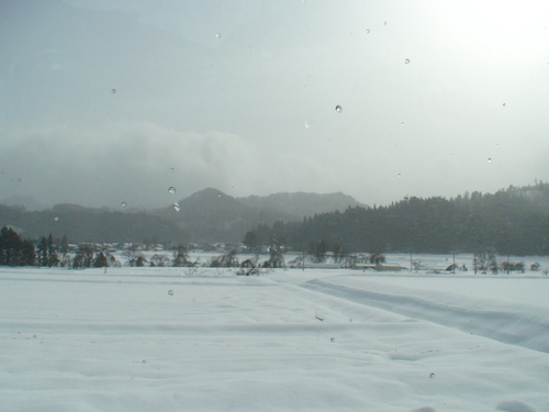 d0087503_1430295.jpg