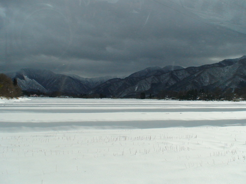 d0087503_1430942.jpg