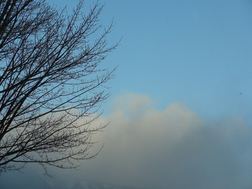 d0087503_14331865.jpg