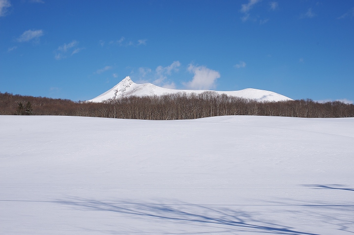 天気は目まぐるしく変り・・・_c0157704_1164261.jpg