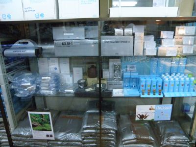 店舗潜入その4_a0193105_331498.jpg
