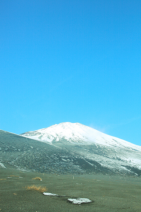 a0148606_11454923.jpg