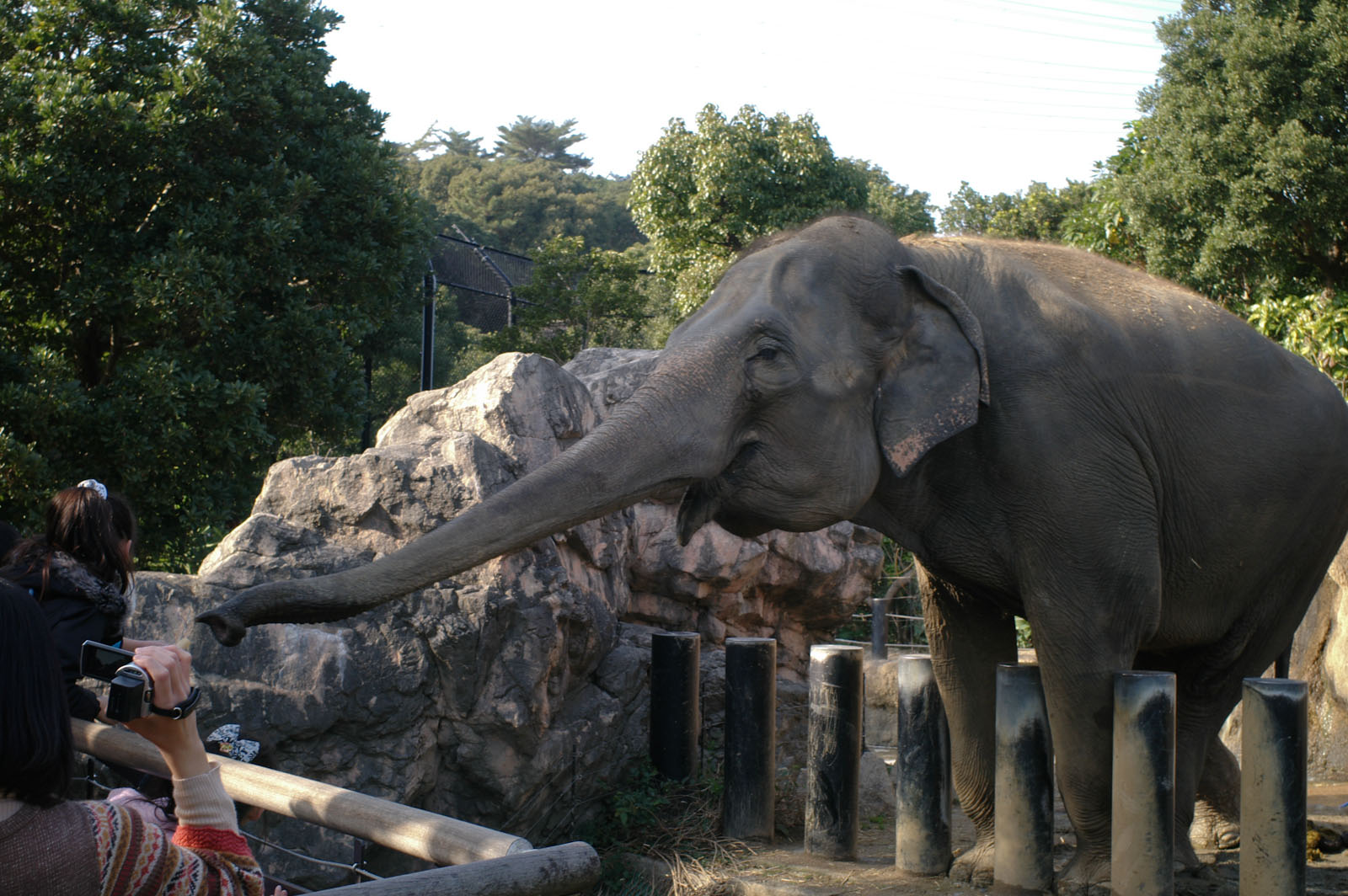 到津の森公園_b0125014_202207.jpg