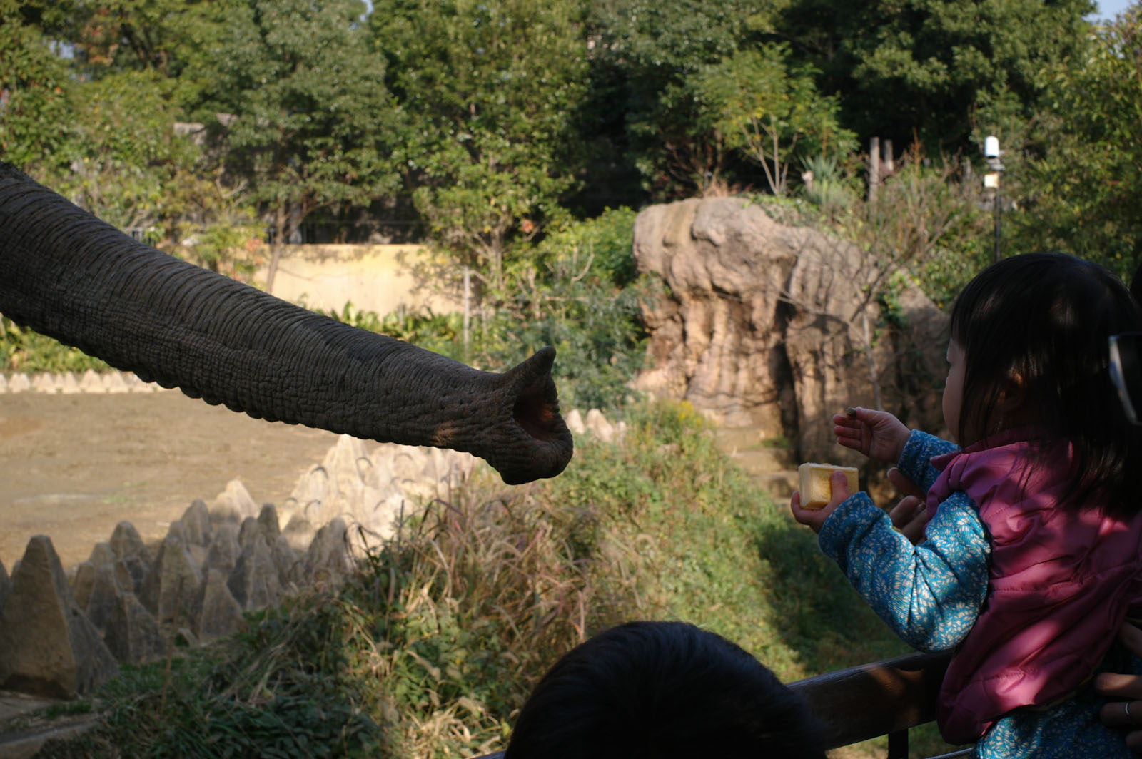 到津の森公園_b0125014_2023811.jpg