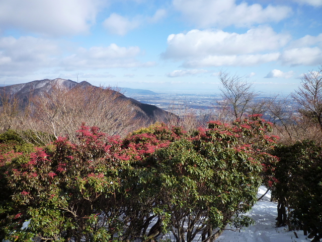 雪の入道ケ岳に登る　ＮＯ２_d0170615_1427381.jpg