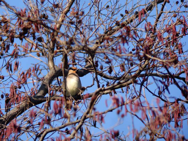 1/4 A公園P森にて_f0051915_037492.jpg