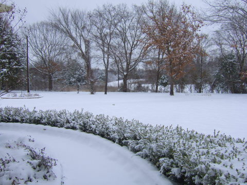 c0151122_372214.jpg