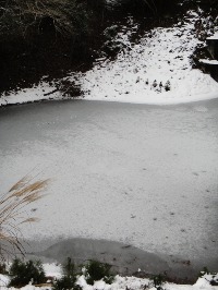c0189724_13403022.jpg